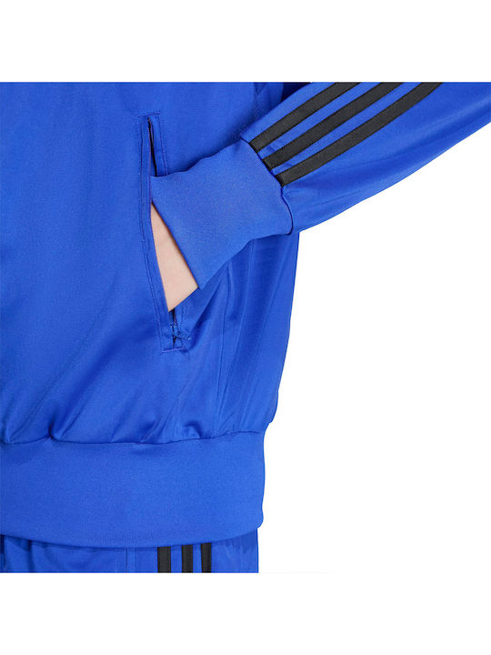 Originals Sweatshirt Royal Blue