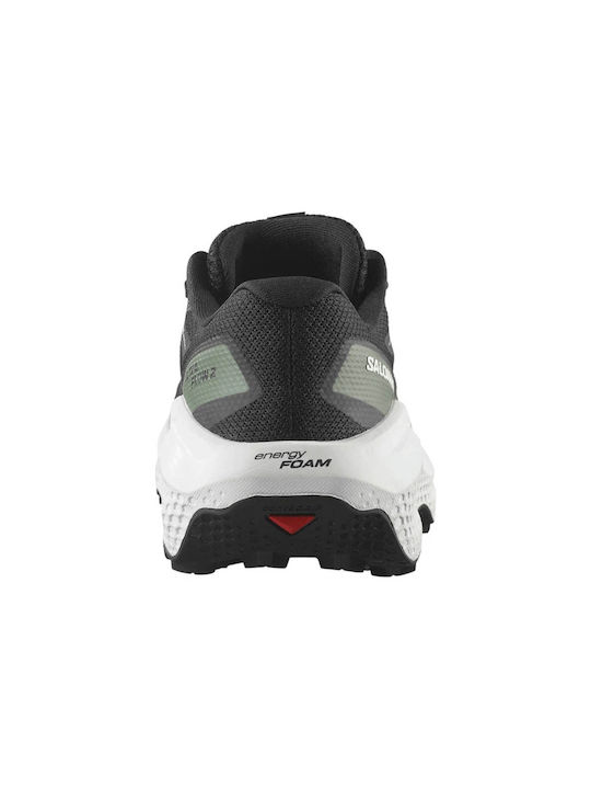 Ultra Flow 2 Bărbați Pantofi sport Alergare Black / Wh Black