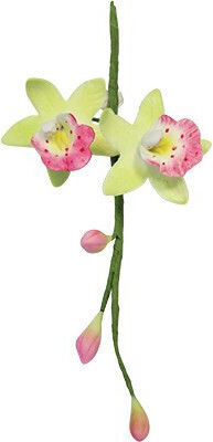 Medium Orchid Cutters Pme