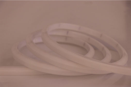 Universe Αδιάβροχη Ταινία LED 24V Φυσικό Λευκό Φως 5m Neon Flex