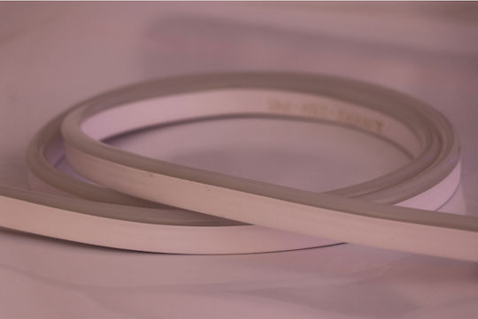 Universe Αδιάβροχη Ταινία LED 220V Ψυχρό Λευκό Φως 1m Neon Flex