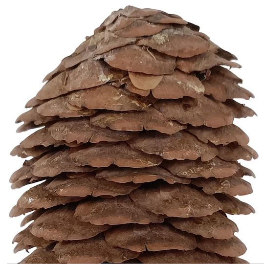 Due esse Χριστουγεννιάτικο Декорация Pine