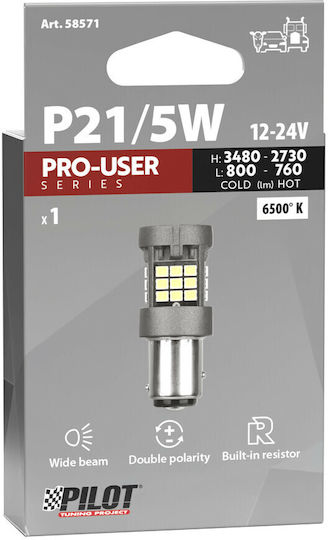 Lampa Lamps Car Pro-User Series P21/5W Canbus LED 6500K Cold White 12-24V 1pcs