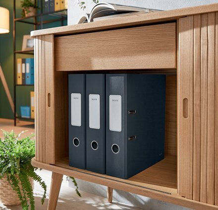 Leitz Biblioraft 4/30 pentru Hârtie A4 Gri 1buc