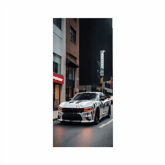 Printed Color Film Door Decoration Size 200 X 90cm Model Avx-dr04