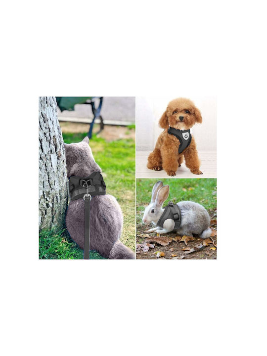 Schwarzes Hundegeschirr Small Schwarzes Hundegeschirr Small