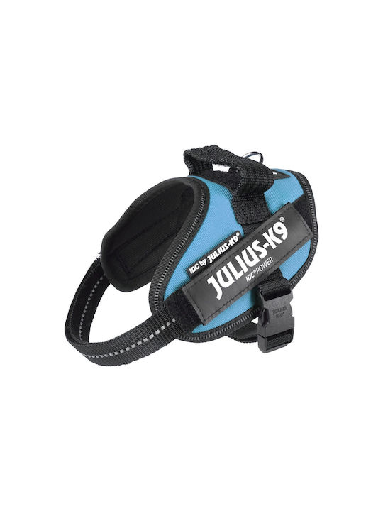 Julius K9 Idc Acquamarina Size Mini.mini Γαλάζιο