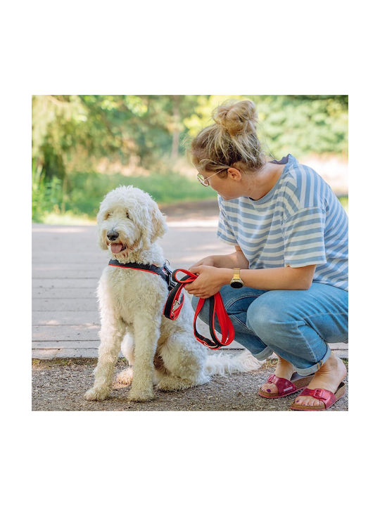 Nobby Hundegeschirr Ausbildung Mesh Preno Rot Rot Mittel / Klein 25mm x -50cm 80551-01
