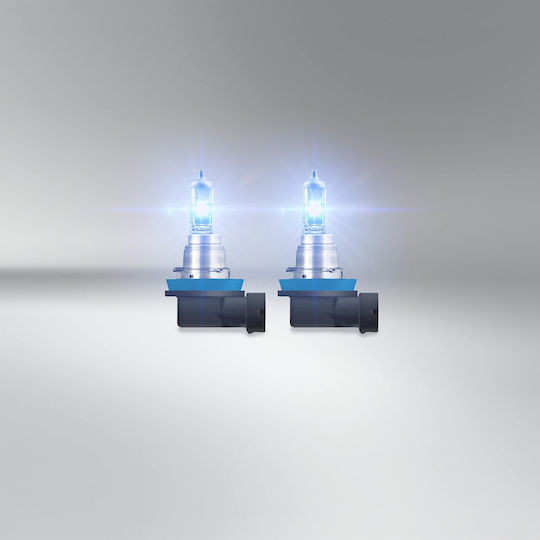 Osram Lamps Car & Motorcycle H8 Halogen 5000K Cold White 12V 35W 2pcs