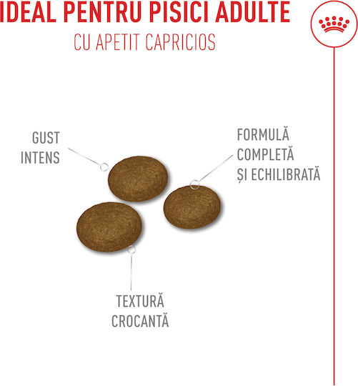 Royal Canin Exigent Ξηρά Τροφή Γάτας 10kg