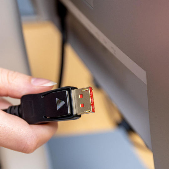 InLine Kabel DisplayPort-Stecker - 1m Schwarz (15301)