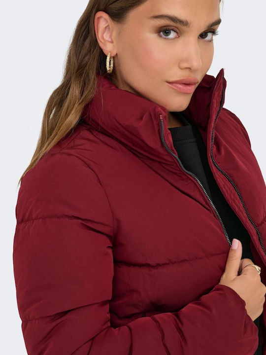 Kurz Damen Puffer Jacke für Winter Cabernet