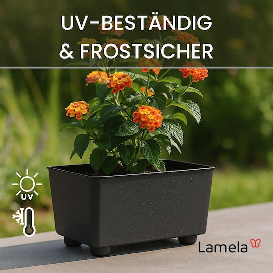 Lamela Blumenkasten Kunststoff Schwarz 17x17cm.