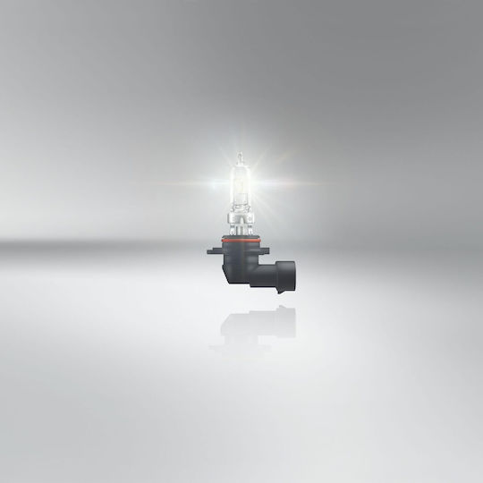 Osram Крушка за Автомобил и Мотор HB3 12V 60W