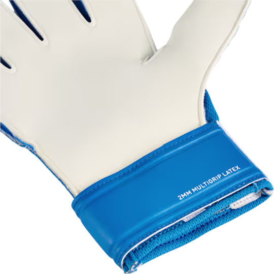 PUMA Ultra Play Rc Torwarthandschuhe Erwachsene Blau