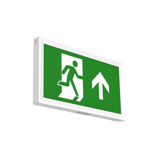 Eurolamp LED Notfall-Sicherheitsleuchte 1Stück