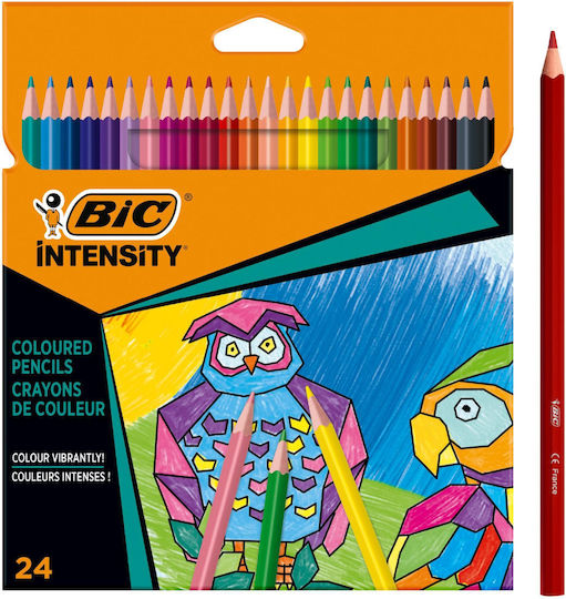 BIC Ξυλομπογιές Σετ 24 χρώματα