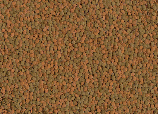 Tetra Mini Mix Bottom Fish Food Tablets with Spirulina 100ml