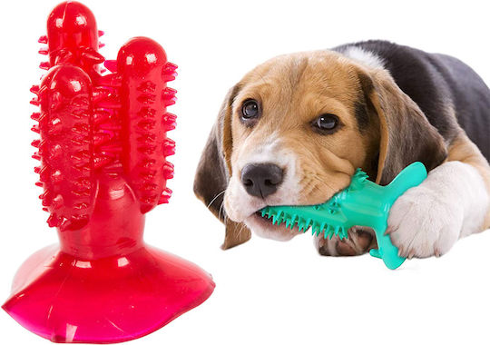 Zahnpflege Zahnbürste Hund Rot