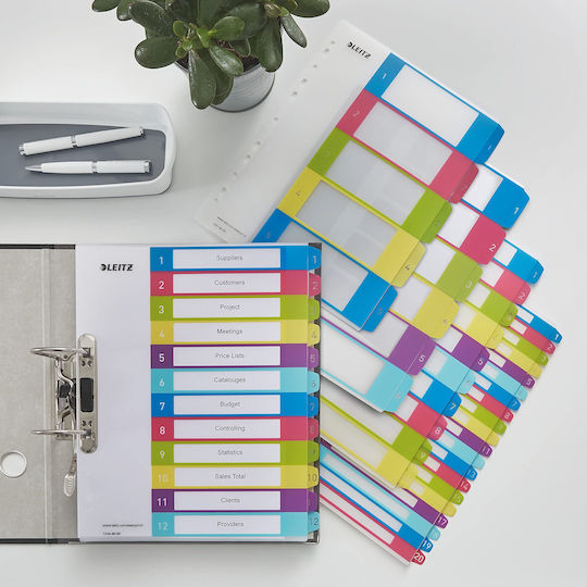 Leitz Plastic Divider for for Cards A4