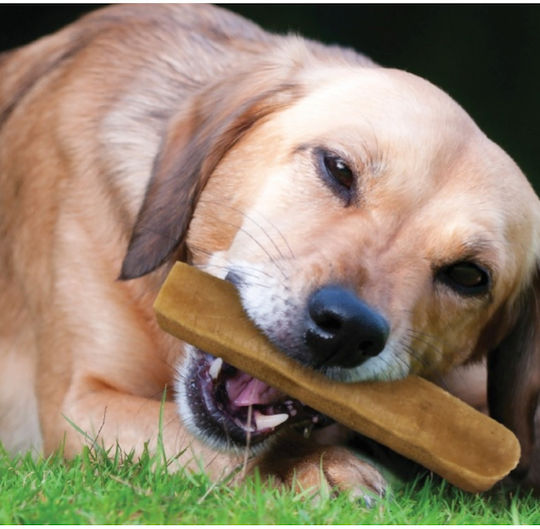 Pet Camelot Sticks für Hunde Kleine Rassen mit Käse 37gr