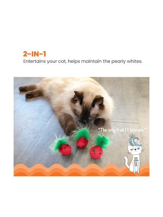 Petstages Katzenspielzeug