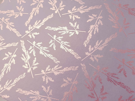 interDRUK Ordner 4/30 für Papier A4 mit 2 s Ringen Rosa 1Stück