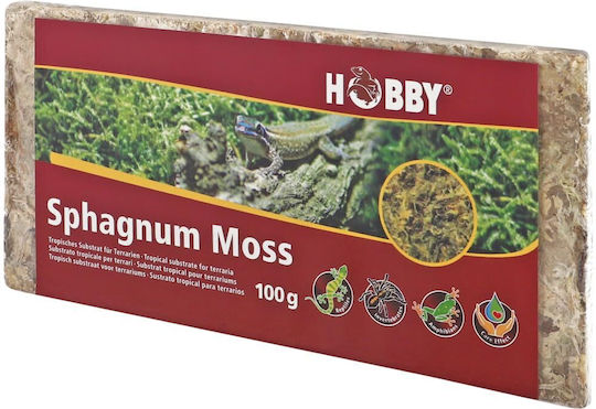Hobby Aquaristik Spaghnum Moss Wooden Substrate for Reptiles Terrarium 100gr