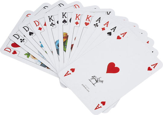 Standard Cards