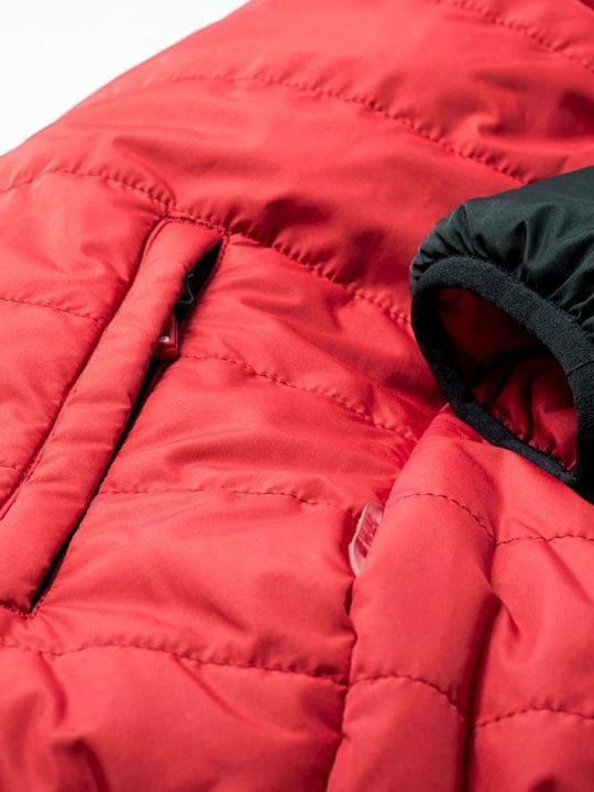 Women's Short Lifestyle Jacket for Winter with Hood Black