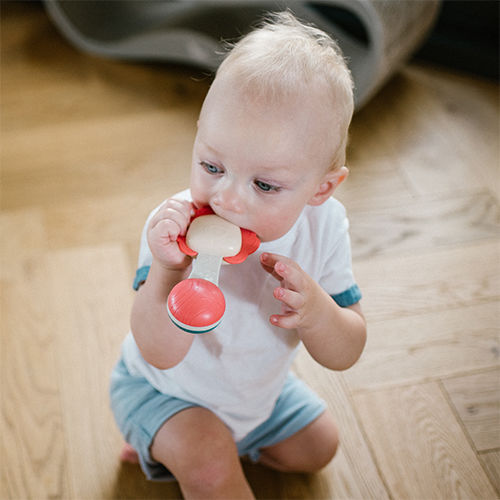 Babyono Rattle for 3++ Months