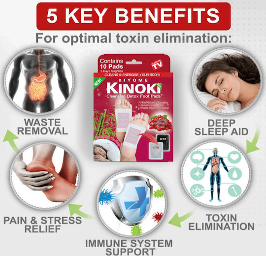 Kinoki Pro Organic Επιθέματα Αποτοξίνωση Άρωμα Wolfberry 10τμχ