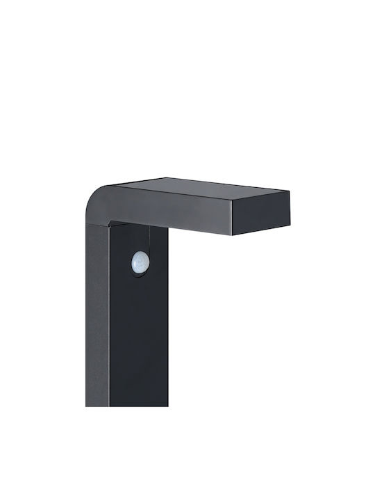 Eglo Baracconi Outdoor Floor Lamp LED 3.6W with Warm White Light IP44 Black