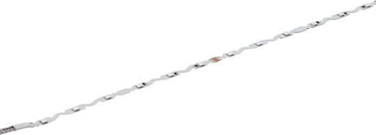 Eglo Ταινία LED 24V Ρυθμιζόμενο Λευκό Φως 5m με Τηλεχειριστήριο
