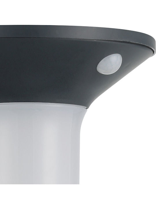 Eglo Corbezzola Стенен Външен Плафон LED IP44 с Топло бяло Светлина 16x16εκ.