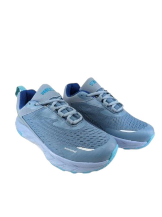Anatomical Sneakers Blue