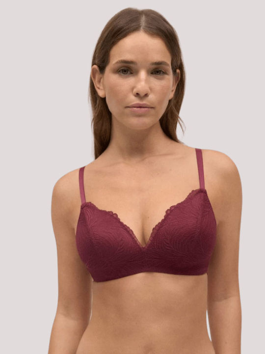 Bra with Light Padding without Underwire Black