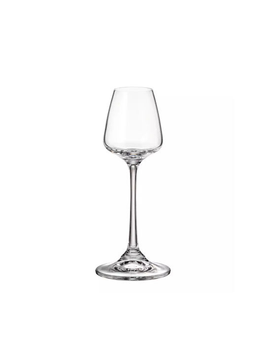 Crystal Bohemia Set of Glasses Liqueur/Ouzo / Cocktail/Drinking / Shooters made of Crystal Stemmed 6pcs