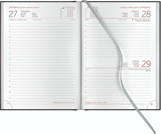 Theofylaktos Daily Diary Winner Color 2026 Black Red 17x24 6961l.c01