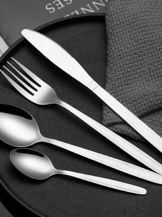 Yuk Spoon Set Coffee / Tea Stainless Silver 24pcs