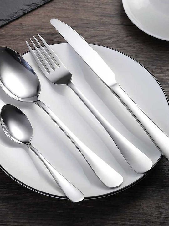 Yuk Spoon Set Desert / Ice Cream Stainless Silver 12pcs