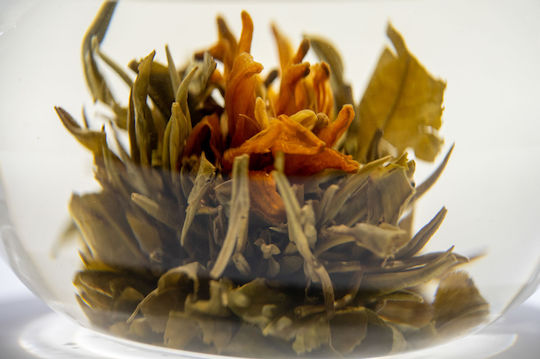 Orange Lilium Πράσινο Τσάι Κίνας Champion