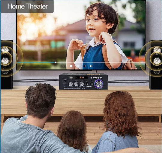 VIRE AV-20 Ολοκληρωμένος Ενισχυτής Hi-Fi Stereo