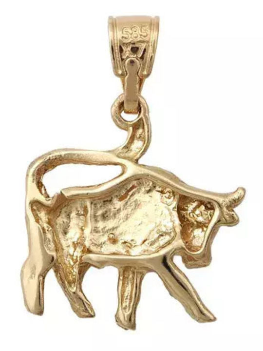 Charm From 14K Gold