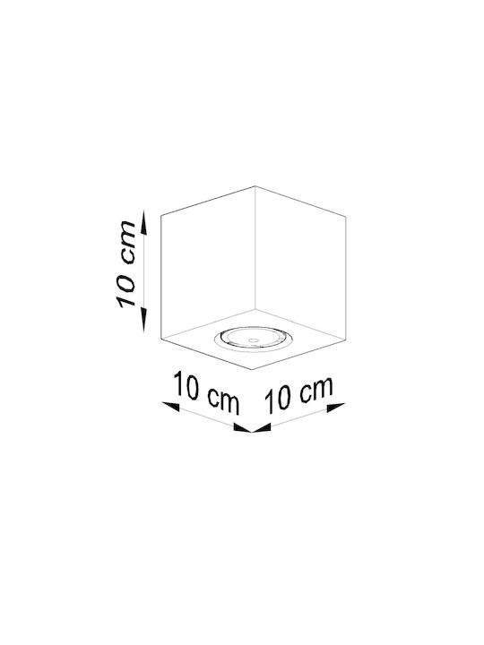 Sollux Spot with 10 Lights in Gray Color