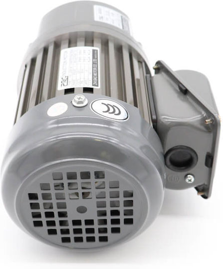Maxima Motor