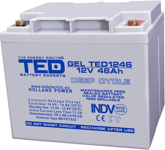 TED Electric Baterie UPS cu Capacitate 46Ah și Tensiune 12V A0058591 1buc