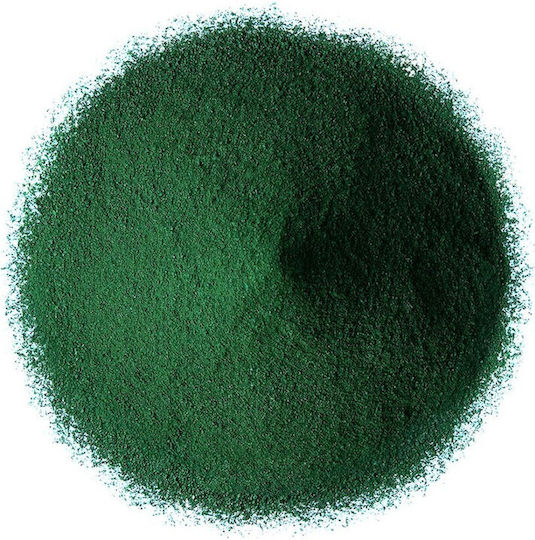 Bachadiko Spirulina Pulver Bio 100g