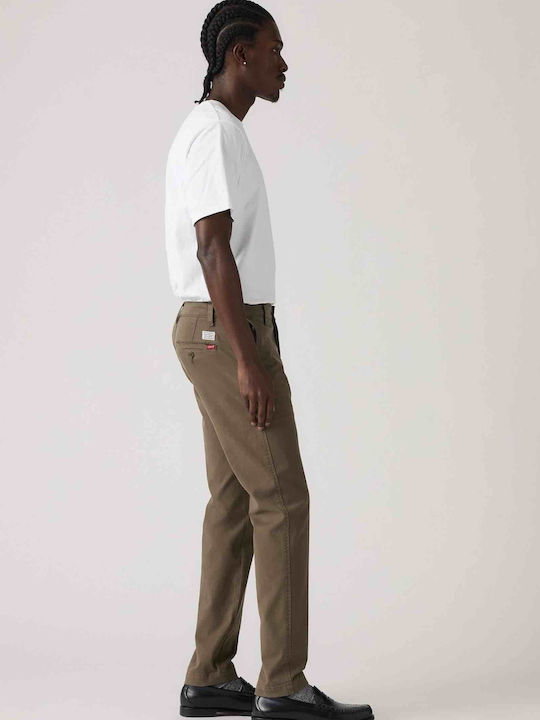 Xx Hose Chino Olive