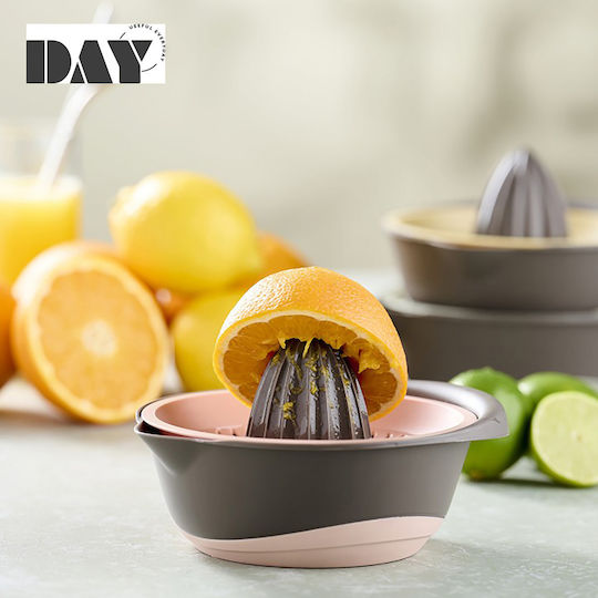 Espiel Day Classic Juicer Lemon with Container made of Plastic in Gray Color